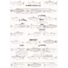 Aventura Éditions - Cadeau Original, Carnet de pêche aventure